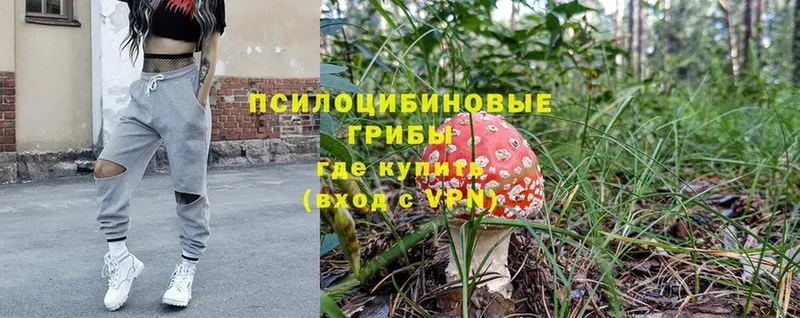 Псилоцибиновые грибы Psilocybine cubensis  цена наркотик  hydra ССЫЛКА  Северск 